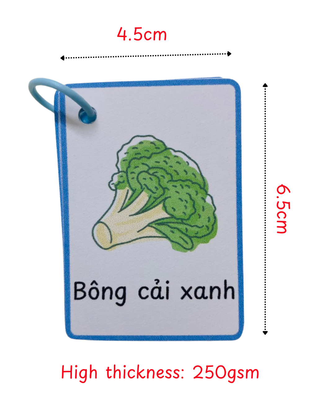 Physical Flashcards + Audio File