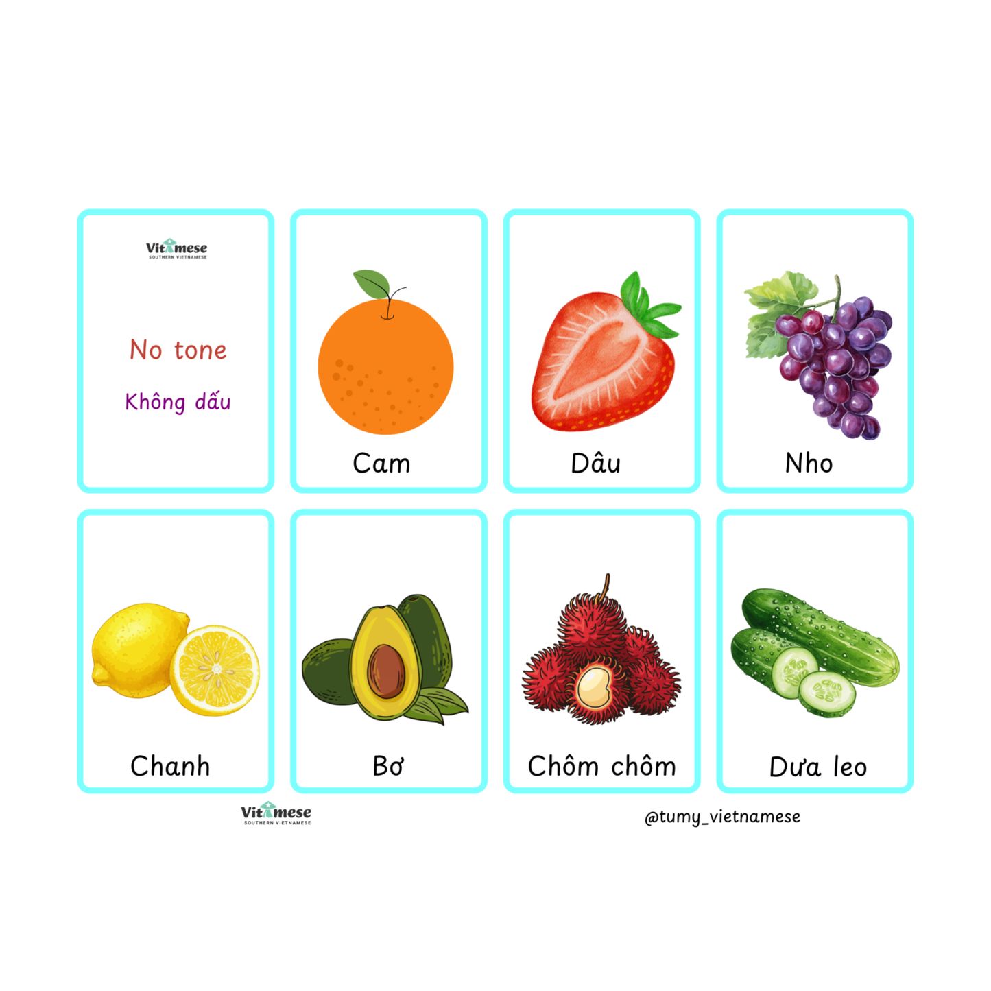 B0 Flashcards + Audio File
