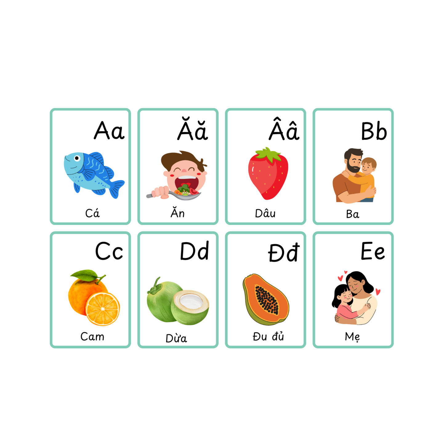 B1 Flashcards + Audio File