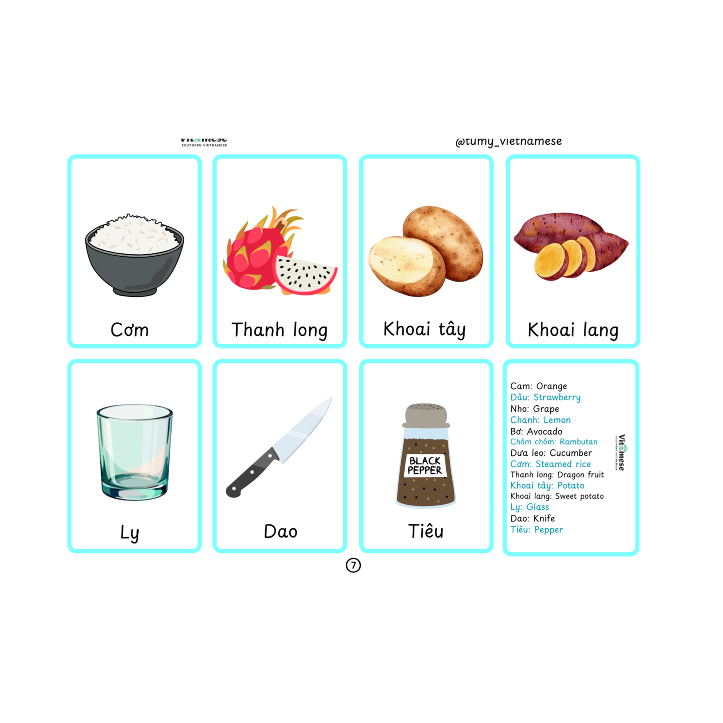 B0 Flashcards + Audio File