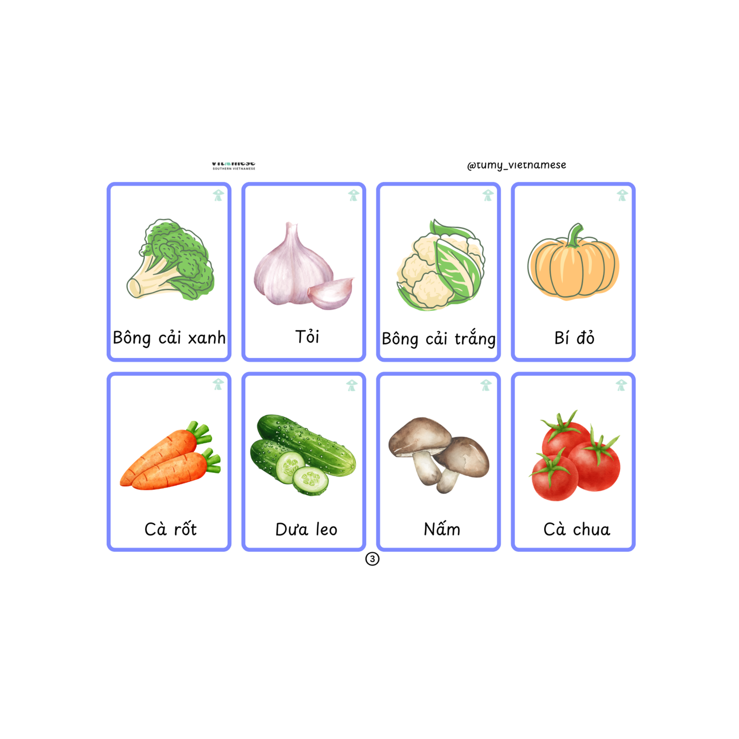 B2 Flashcards + Audio File